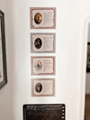 Little Oratory Prayer Collection
